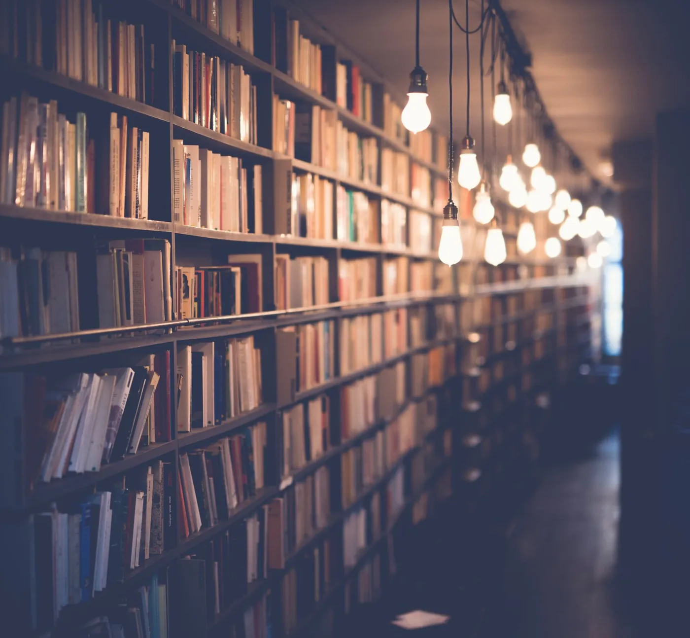 Warmly lit library shelves representing educational resources